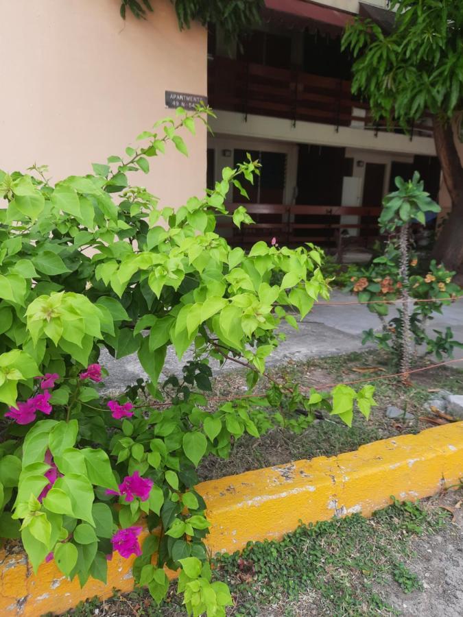 The Mango Lodge Kingston Exterior foto